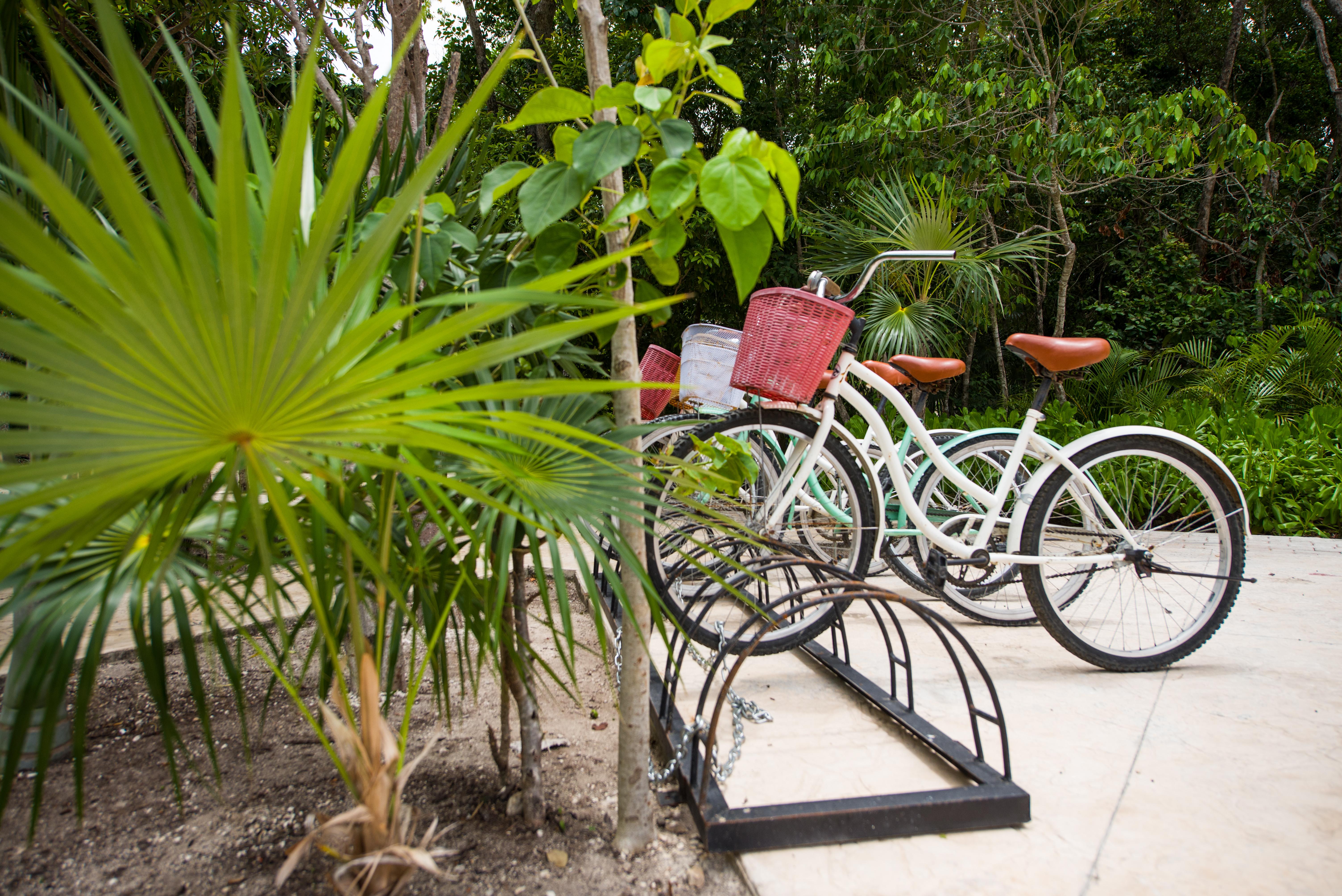 Naay Tulum Curamoria Collection Luaran gambar